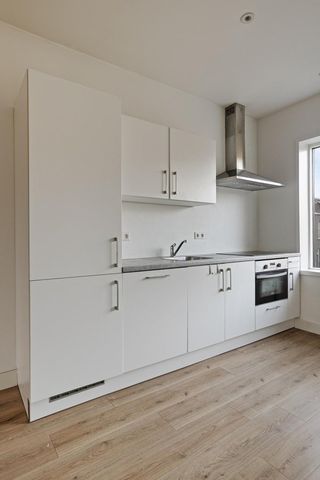 Te huur: Appartement Adriaen van Ostadelaan in Utrecht - Foto 3