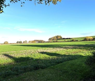 Puckington, Ilminster, Somerset, TA19 - Photo 3