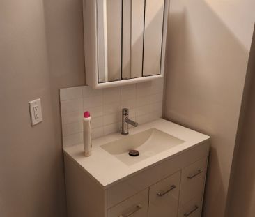 For Lease - 6 Charcoal Drive Unit# Basement, Toronto, Ontario - Photo 4