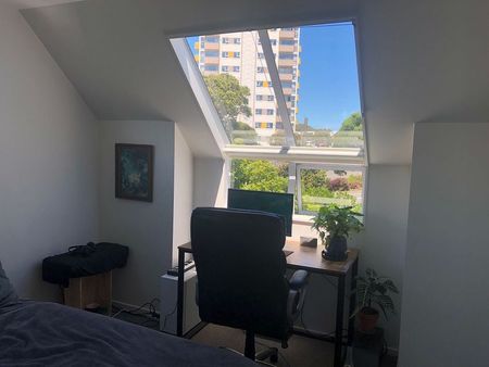 Modern 3 bed, 2 bathroom with 3 carparks - Photo 4