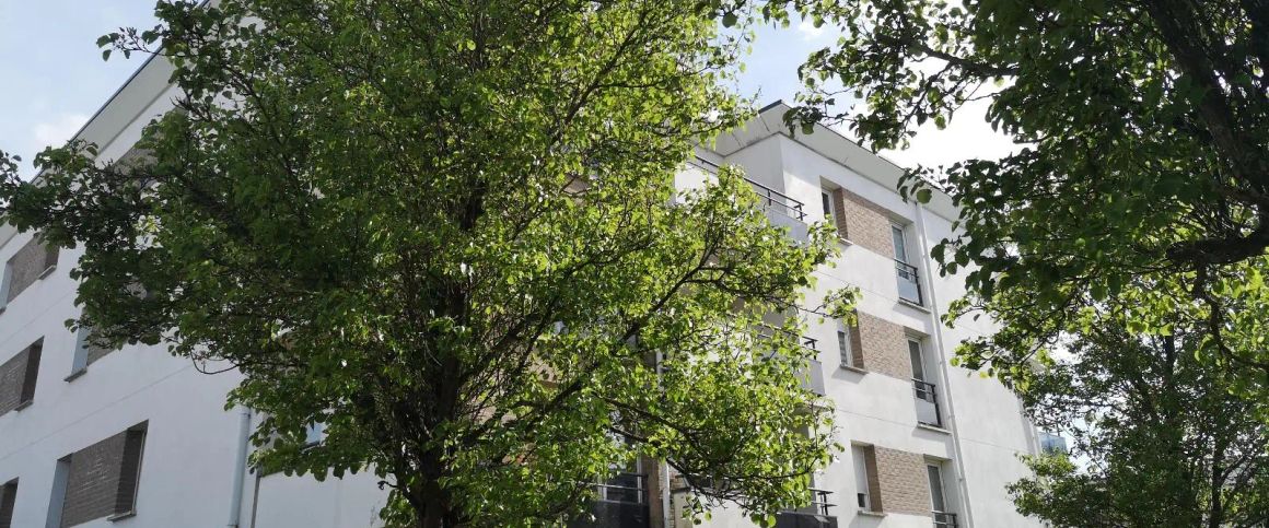 Appartement à louer 2 pièces 38.24m² - Photo 1