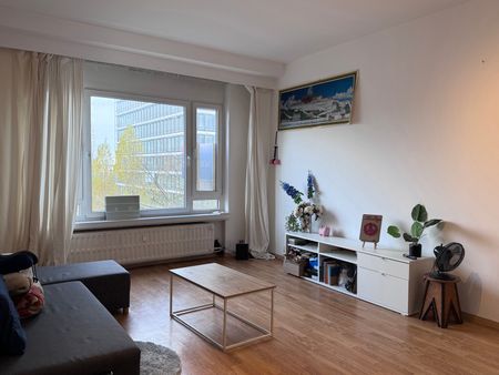 Appartement - Photo 4