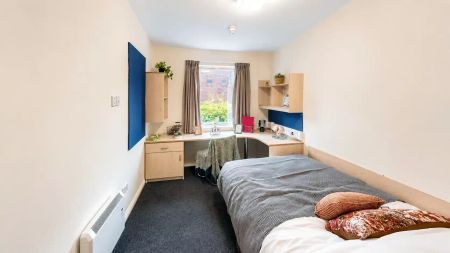 Premium Ensuite - Photo 4