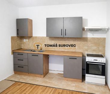 Pronájem bytu 1+1 45 m² - Fotografie 1