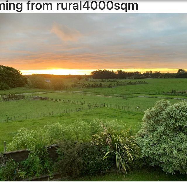 Paddock for sheep horses -5bdroom plus office - Photo 1