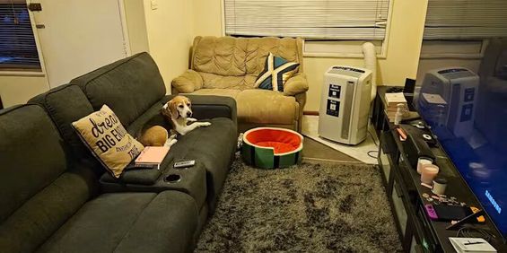 Campbelltown - Photo 3