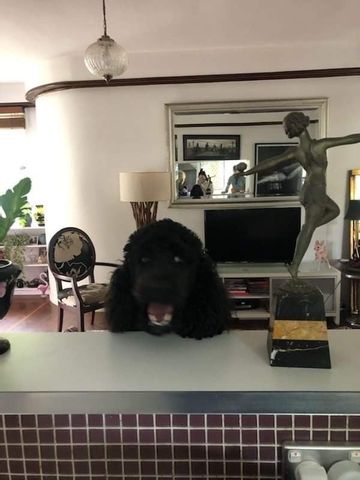 Holland Park - Photo 4