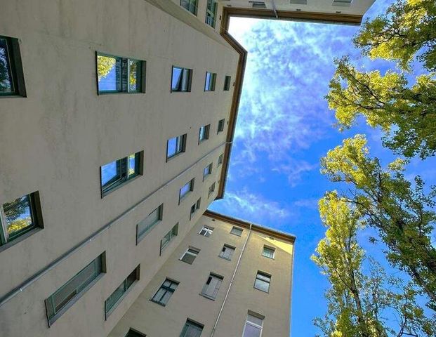 Groß und saniert - Wohnungsschnitt für Kreative! - Foto 1