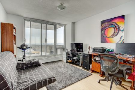 Condo for rent, Montréal (Le Plateau-Mont-Royal) - Photo 4