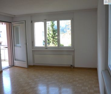 Helle Wohnung am Stadtrand von Dübendorf - Foto 5