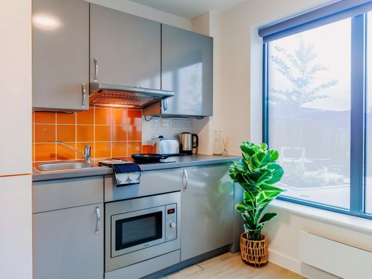 Classic Studio - Photo 1