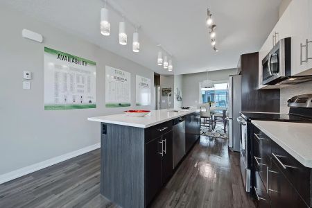 TERRA TOWNHOMES — 2 BDRM - Terra 1 - Photo 4
