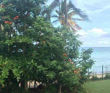 Location Appartement 1 pièce 20m² LE GOSIER 97190 - Photo 6