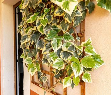 1 bedroom luxury penthouse for rent in Palma de Mallorca, Spain - Photo 2