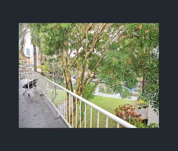 Relaxed Coastal Living in a Quiet Surfers Paradise Pocket - Photo 6
