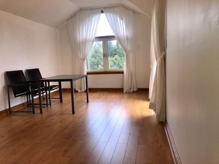 For Lease - 39 Spruce Avenue, Richmond Hill, Ontario - Photo 4