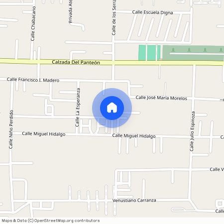 Calle Miguel Hidalgo, San Mateo Atenco, Estado de México, 52104, México