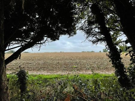 Strawberry Field, Dursley, GL11 6BU - Photo 4