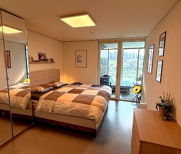 3½ Zimmer-Wohnung in Luzern, möbliert, auf Zeit - Foto 6