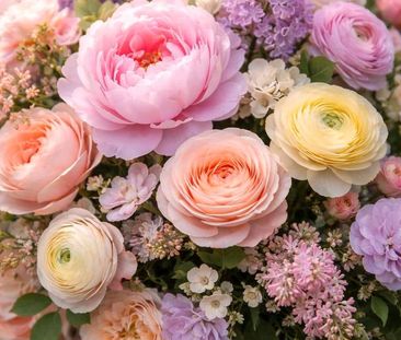 Ich suche eine Wohnung - Photo 1