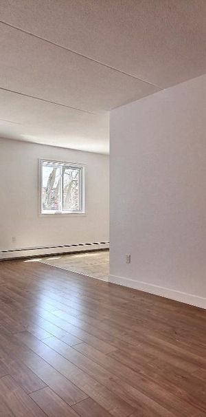 TRÈS GRAND 4 ½ -RÉNOVÉ LIMOILOU - 1245$/MOIS (CHAUFFÉ-EAU CHAUDE) - À PARTIR DE OCTOBRE OU NOVEMBRE - Photo 1