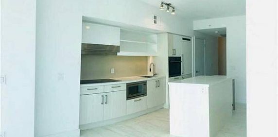 Stunning bright LARGE 2 bedroom 2 bath condo + parking +locker - Photo 2