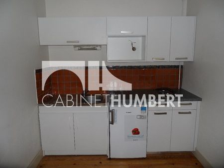 Location Appartement 2 pièces 50m² ST ETIENNE 42000 - Photo 3