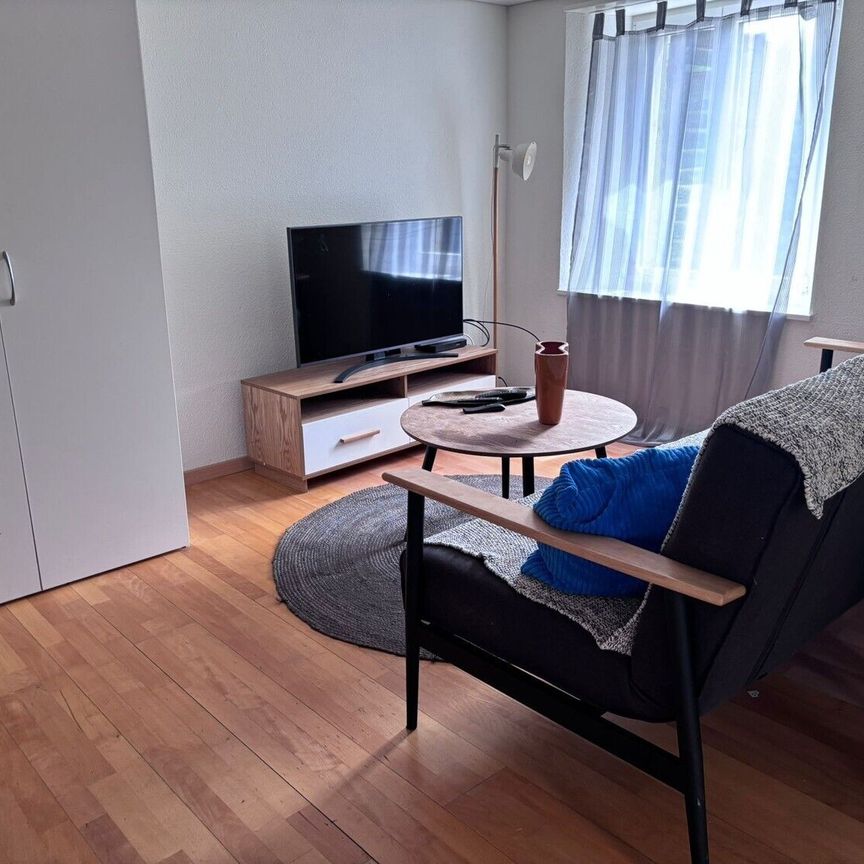 Charming furnished 3.5-room apartment in Langnau am Albis - Photo 1