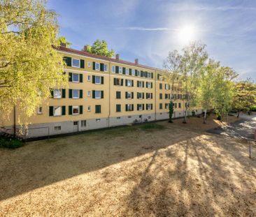 3-Zimmer-Wohnung in Kaiserslautern mieten - Photo 2