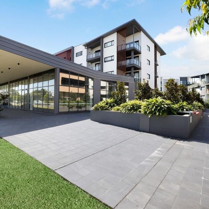 For Lease – Brand New 1 Bedroom Apartment - Photo 1