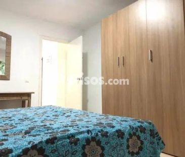 Piso en alquiler en Campoamor - Foto 3