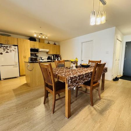 Appartement 4 ½ à louer Lévis août 2026 - Photo 4