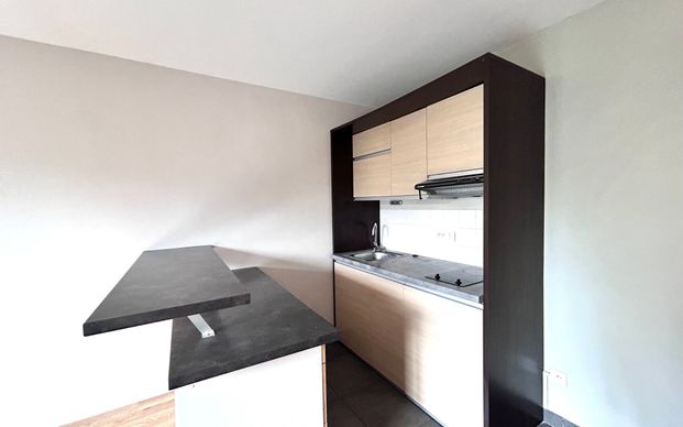Appartement à louer 2 pièces • 39,11 m2 Nogent-sur-Marne - Photo 1