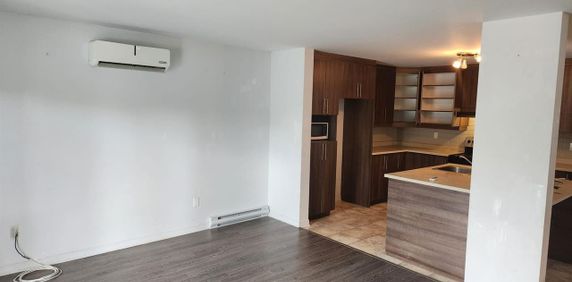 228 Rue Broad (Aylmer) Superbe Appartement 4 1/2 à Louer - Photo 2