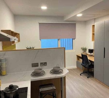 Studio Bronze - Photo 4