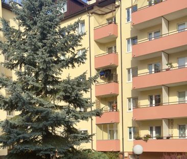 Warszawa, Ursynów, Kabaty, Polnej Róży - Photo 4