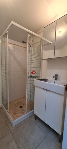 Location Appartement 1 pièce 19m² GRENOBLE 38000 - Photo 2