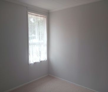 Roomy, Family Home - Waihi - Photo 4