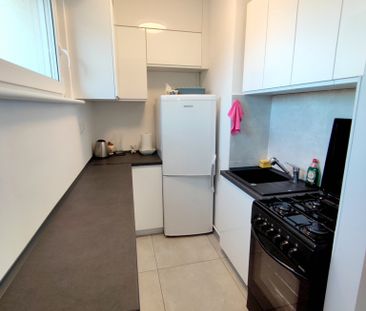 Dąbie, ul. Anieli Krzywoń - Zdjęcie 6