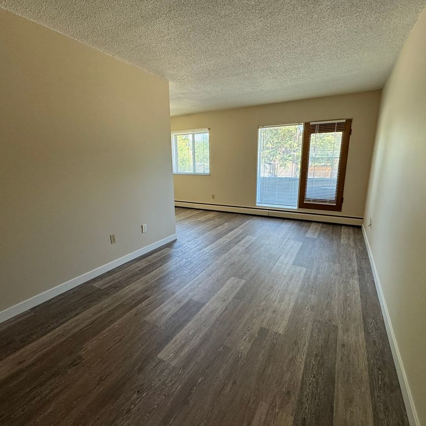 SPACIOUS 2 Bedroom APARTMENT!! GREAT LOCATION Downtown!!! - Photo 1