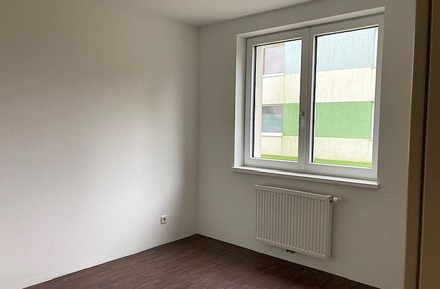 Wohnung in Langau - Photo 1