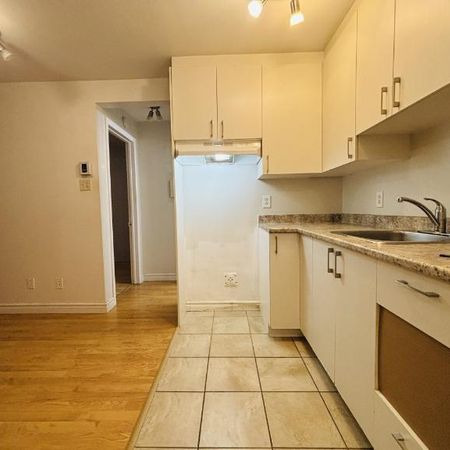 Appartement 3 ½ à louer Lévis février 2026 - Photo 3