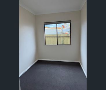 Huge Yard - Secure Fencing - Photo 2