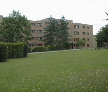 Quiet living in the center of Oberwinterthour Rent without deposit - Photo 1