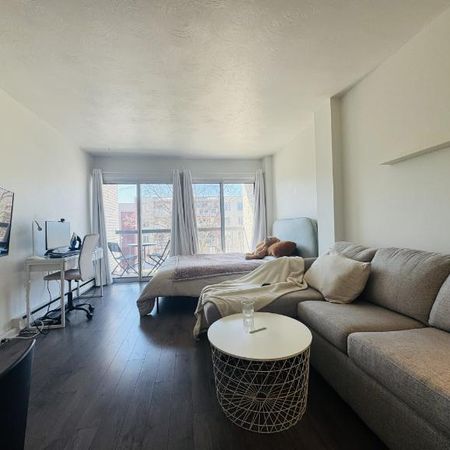 Loft entièrement meublé à louer Sainte-Foy / Sillery septembre 2026 - Photo 3