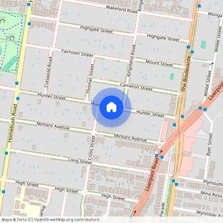 175 The Boulevarde Strathfield NSW 2135