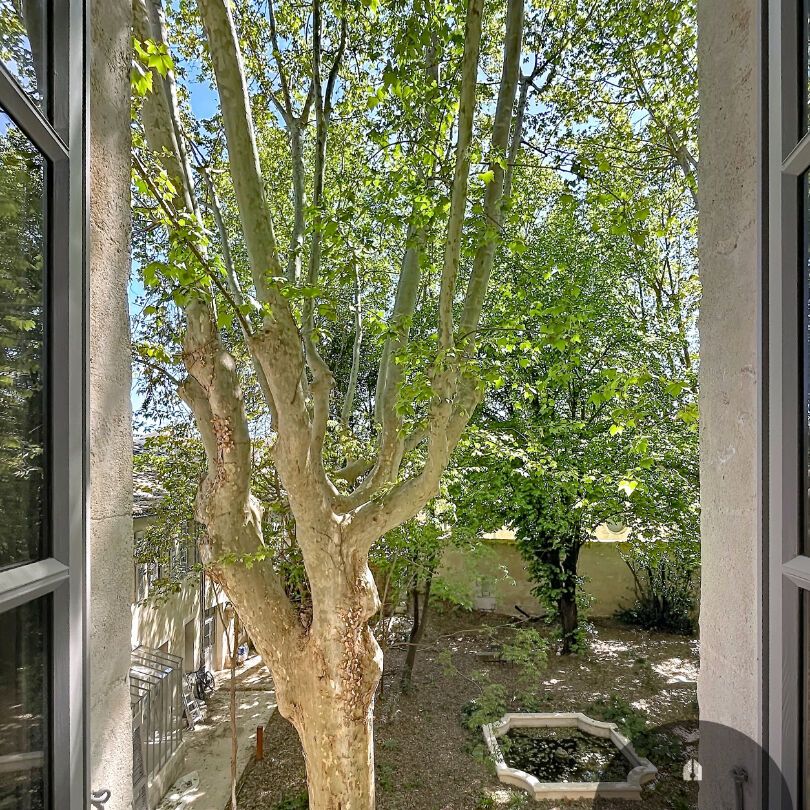 BIEN RARE A LOUER AVIGNON INTRAMUROS ( 84000 ) : charmant appartement ancien rénové - 3 pièces - balcon ! , - Photo 1