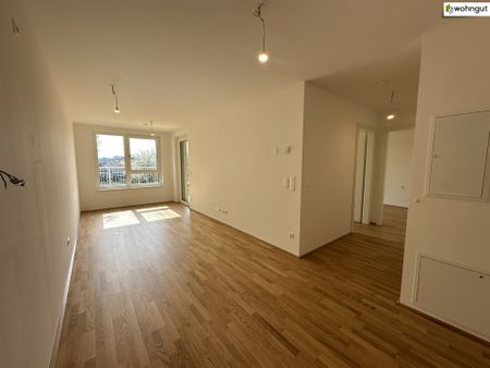 Erstbezug südseitige Gartenwohnung mit 3 Zimmern - Photo 2