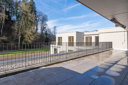 Moderne 2.5-Zimmer-Wohnung in Neubau mit Terrasse - Foto 3