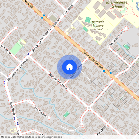 12 Lothian Street, Ilam